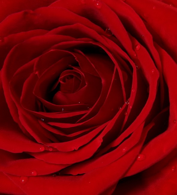 Inner Beauty